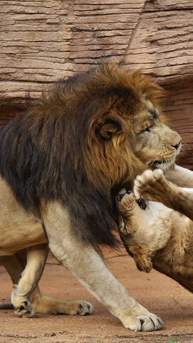 Endometriose klachten Endometriose-klachten